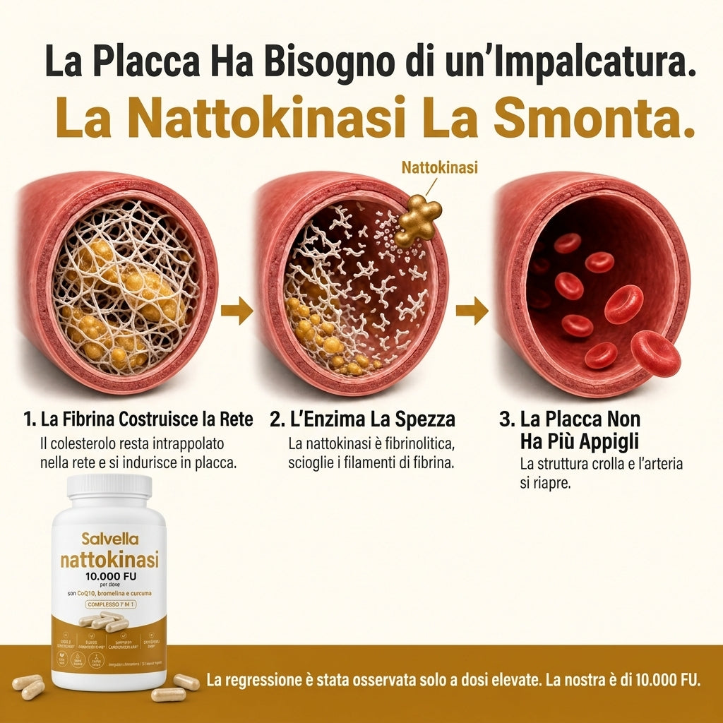 Nattokinasi Massima Potenza 10.000 FU | Supporto alla Circolazione